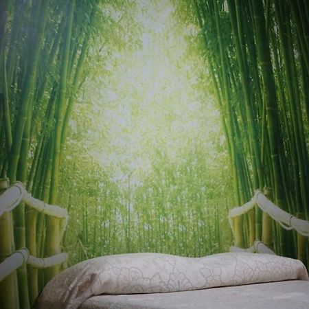La Casa Dell'Orso Bed and Breakfast Ciampino Buitenkant foto