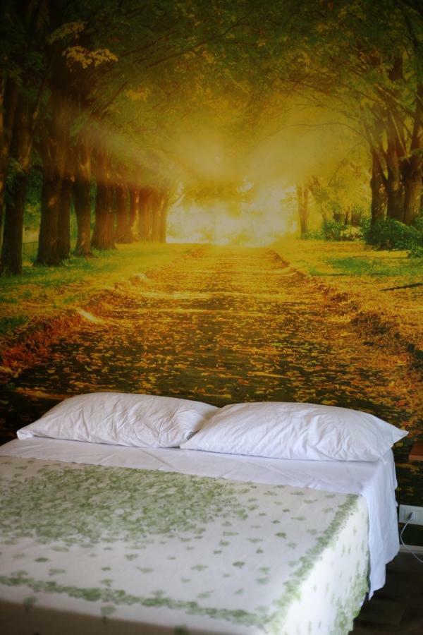 La Casa Dell'Orso Bed and Breakfast Ciampino Buitenkant foto